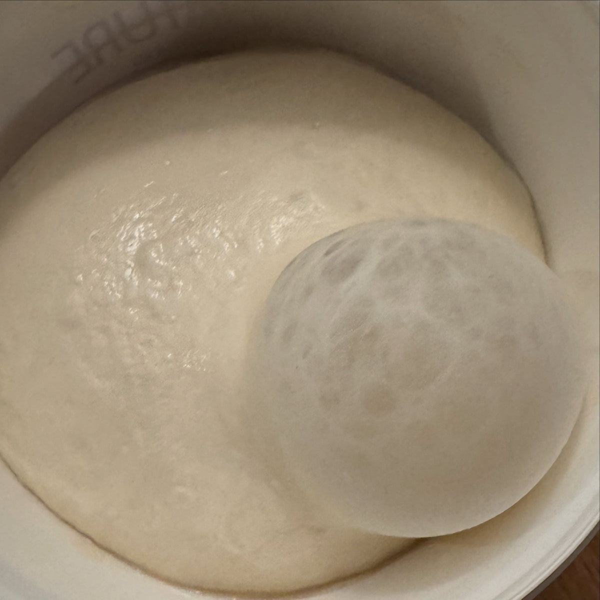 The Perfect Pizza Dough (65% Hydration)